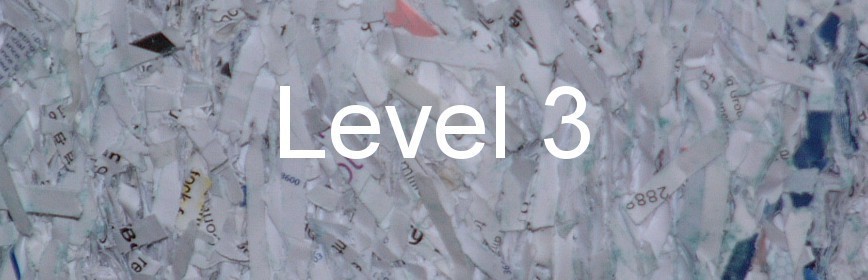 Level 3