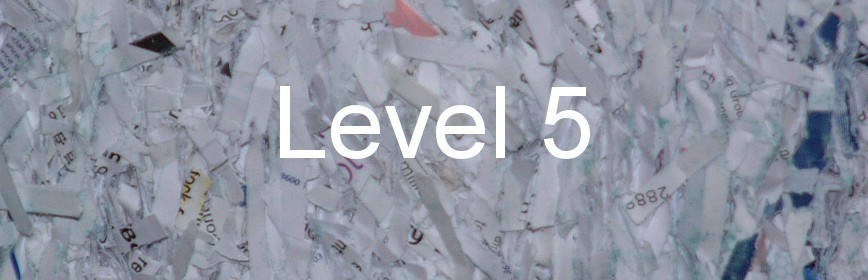 Level 5